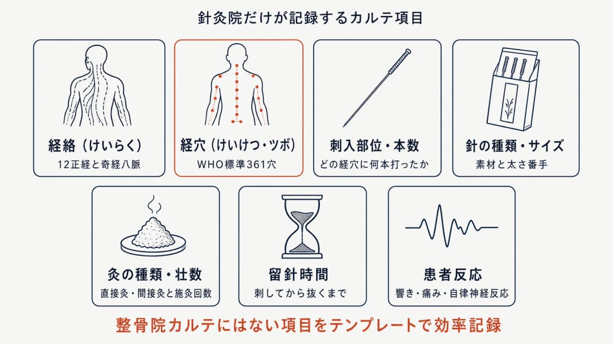 針灸院特有のカルテ記録項目